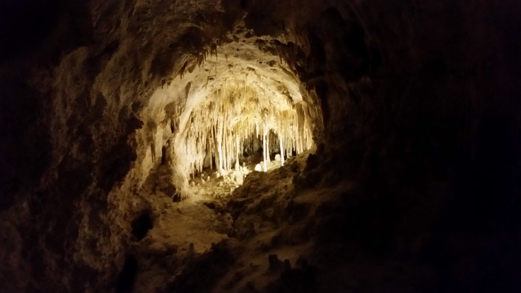 Carlsbad Caverns National Park, NM