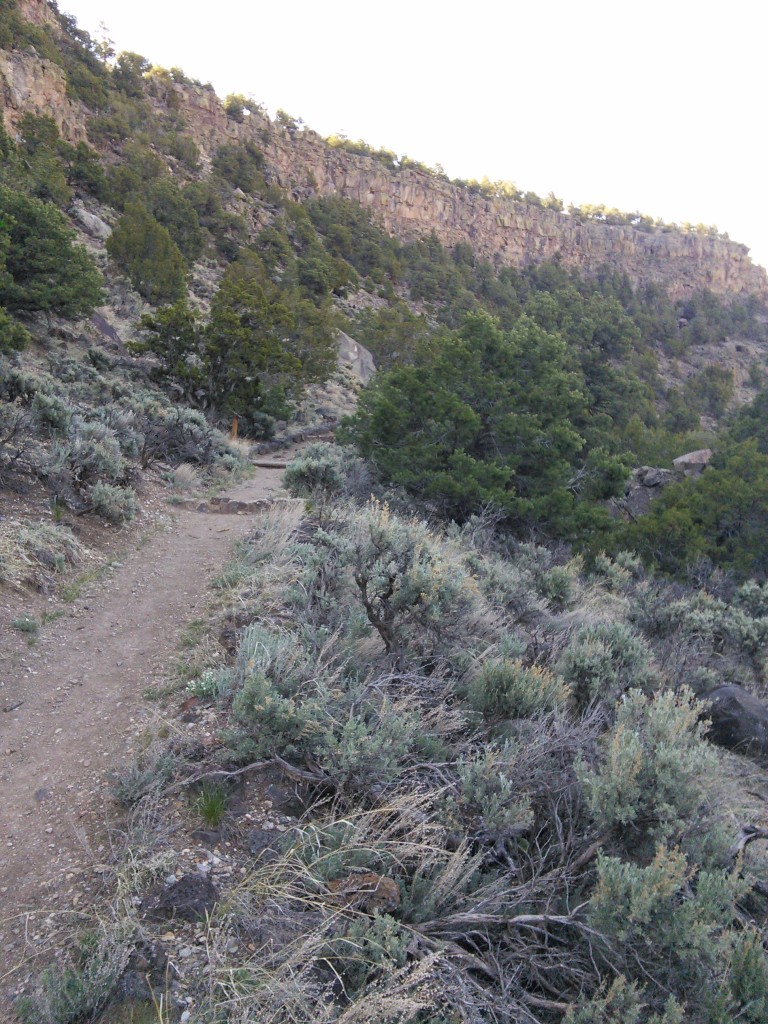Path to the Rio Grande River, NM