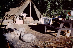 Camping in Colorado in 1953 or 1954