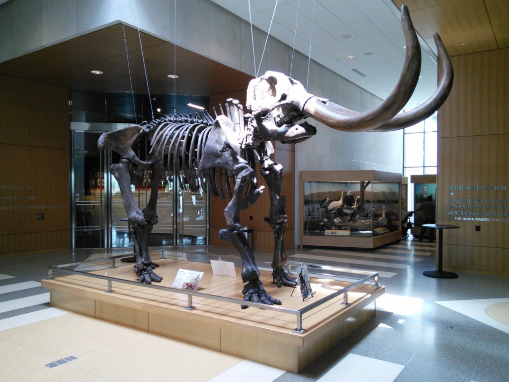 Mastodon (Pleistocene)