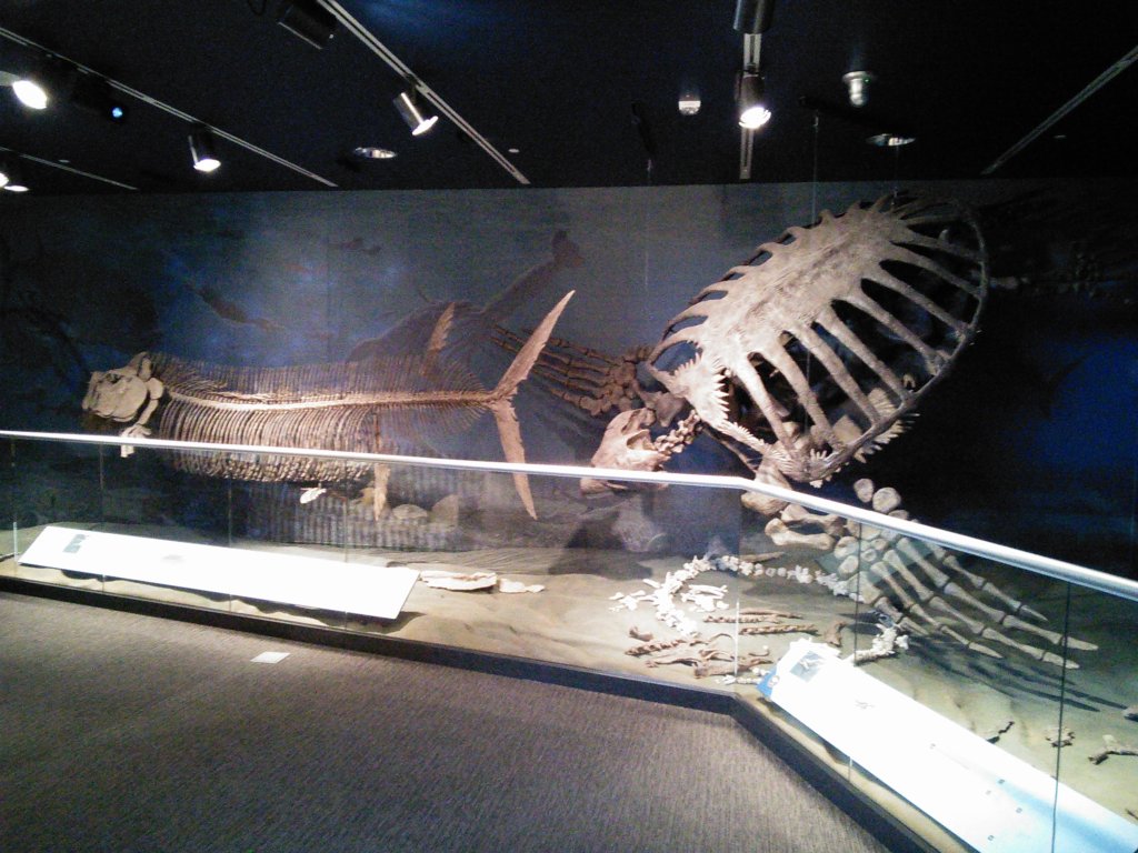 Xiphacanthus (tarpon-like fish) and Archelon (giant sea turtle) (Cretaceous)