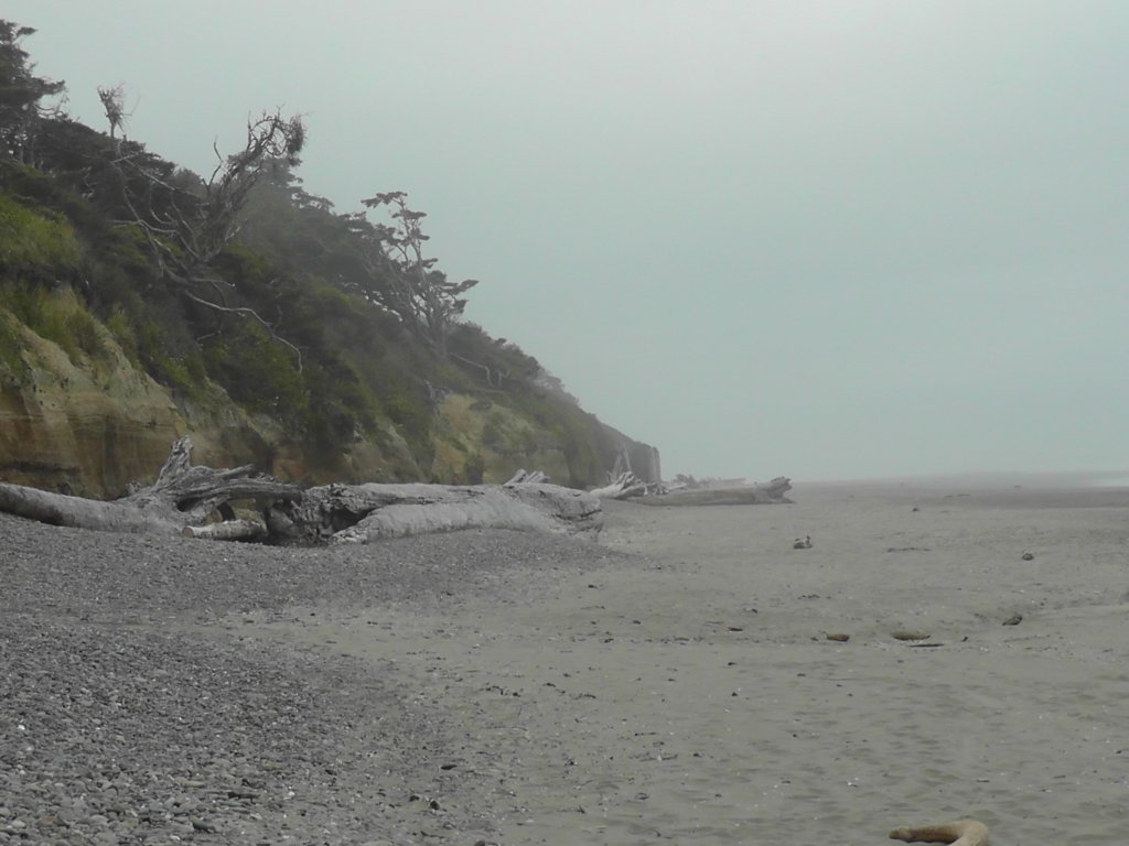 Beach next to Kalaloch Camp Ground on the Pacific Ocean