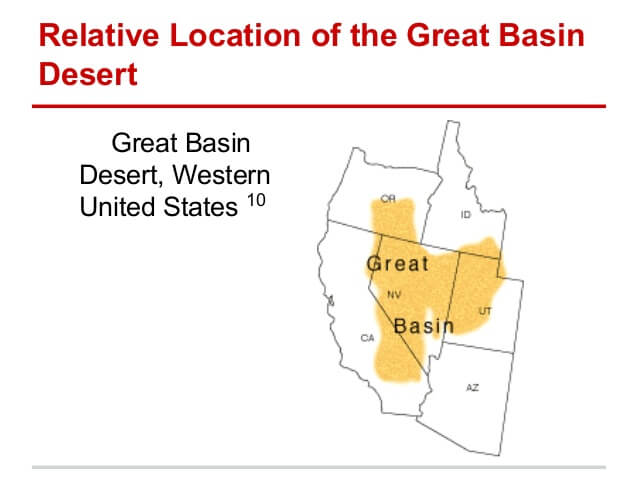 great-basin-desert