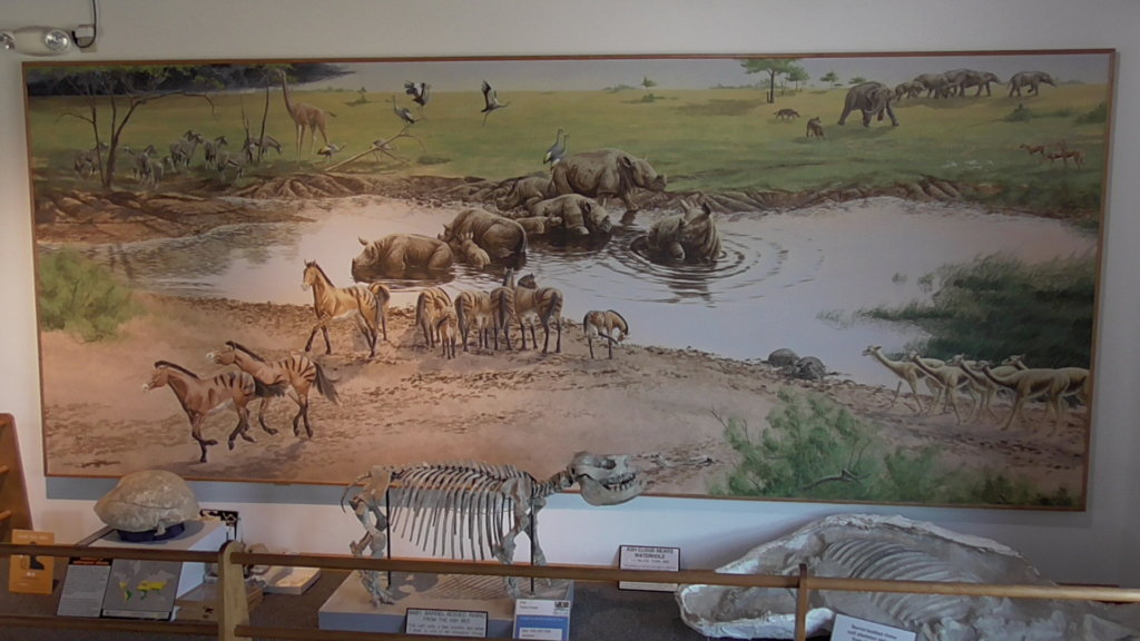 Mural of Miocene fauna at the site before the ashfall