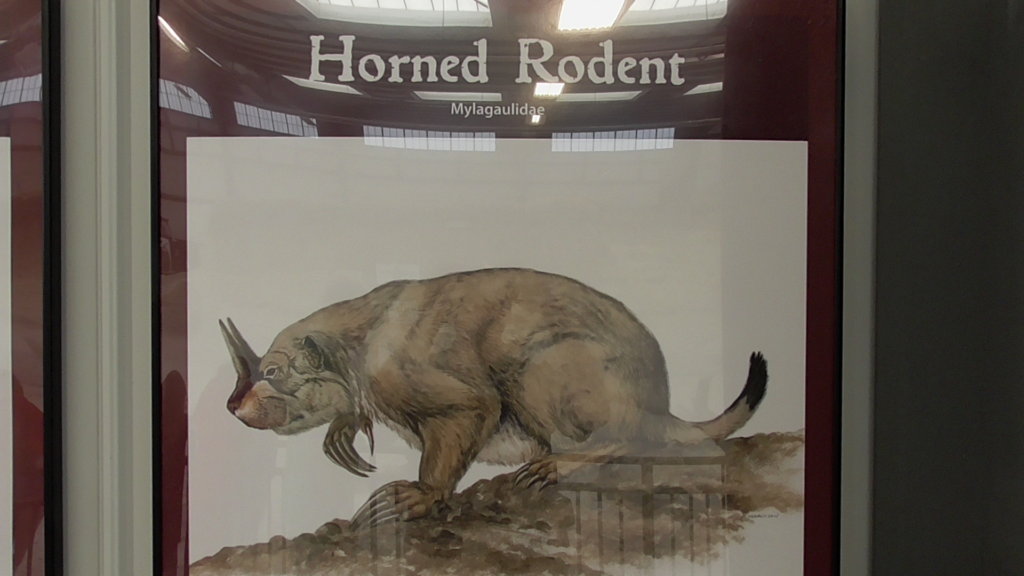 Horned Rodent