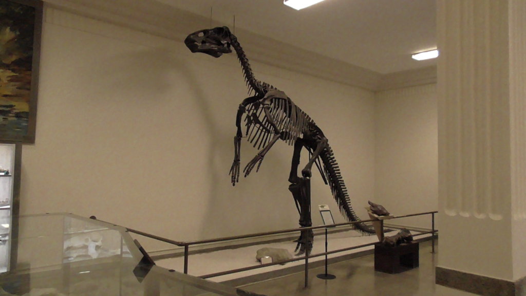 Duckbill (Hadrosaur)