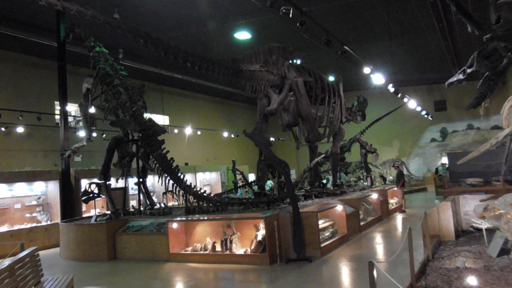 Supersaurus - 106 feet long