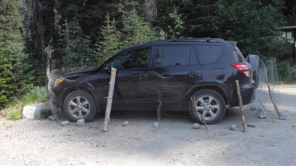 Car being protected from porcupines, Kokanee Glacier Park