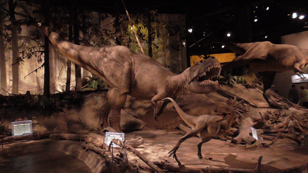 Allosarus adult and juvenile, Royal Tyrrell Museum