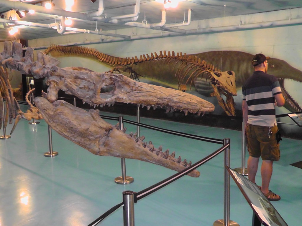 Bruce (43 foot Mososaur), Canadian Fossil Discovery Center, Morden, Manitoba