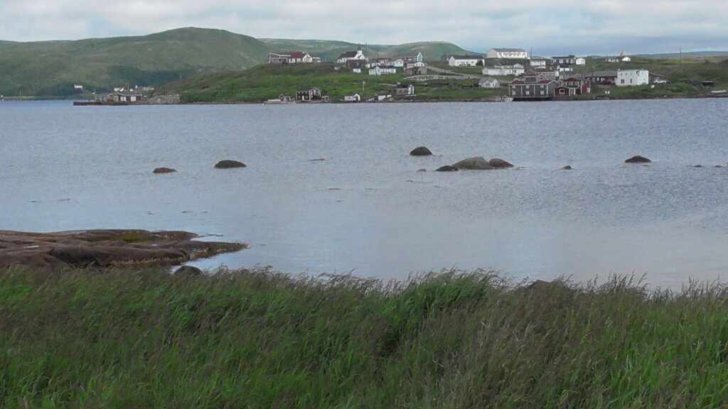 Red Bay from Saddle Island, Labrador