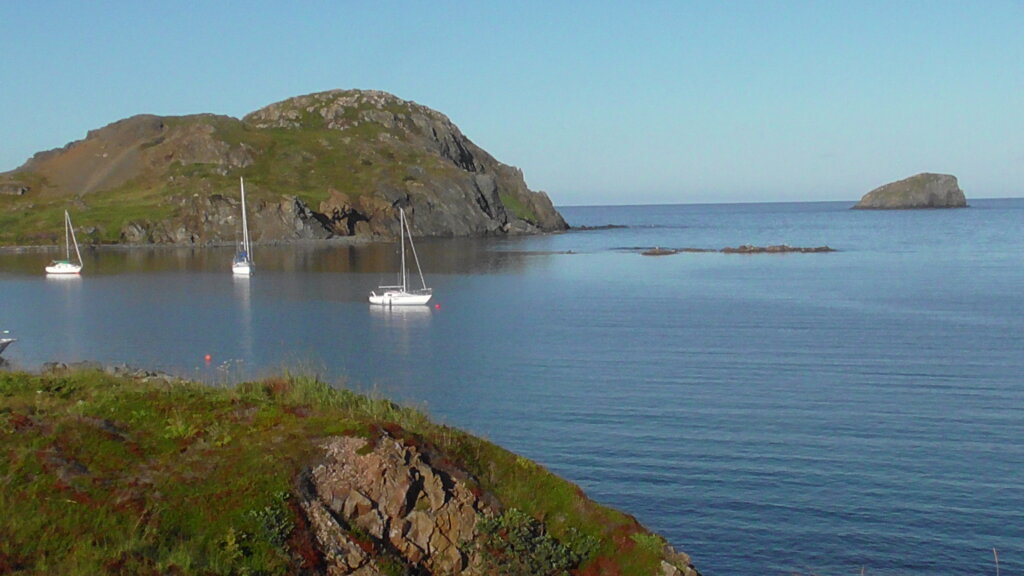 View from Twillingate, Newfoundland