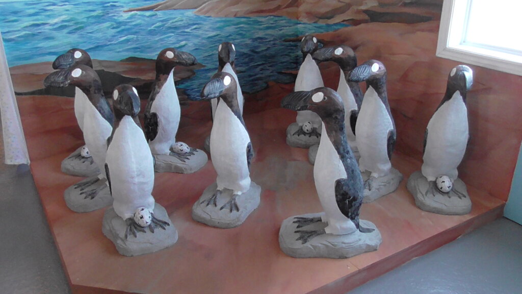 Lifesize models of the Great Auk, Durrell Museum, Twillingate