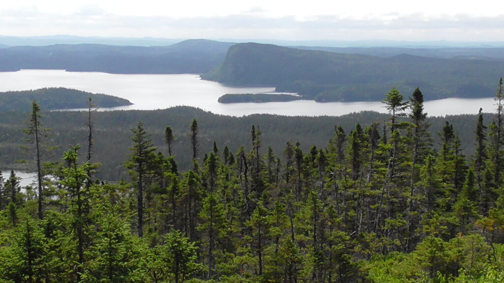 View from Blue Hill, Terra Nova National Park, Newfoundland