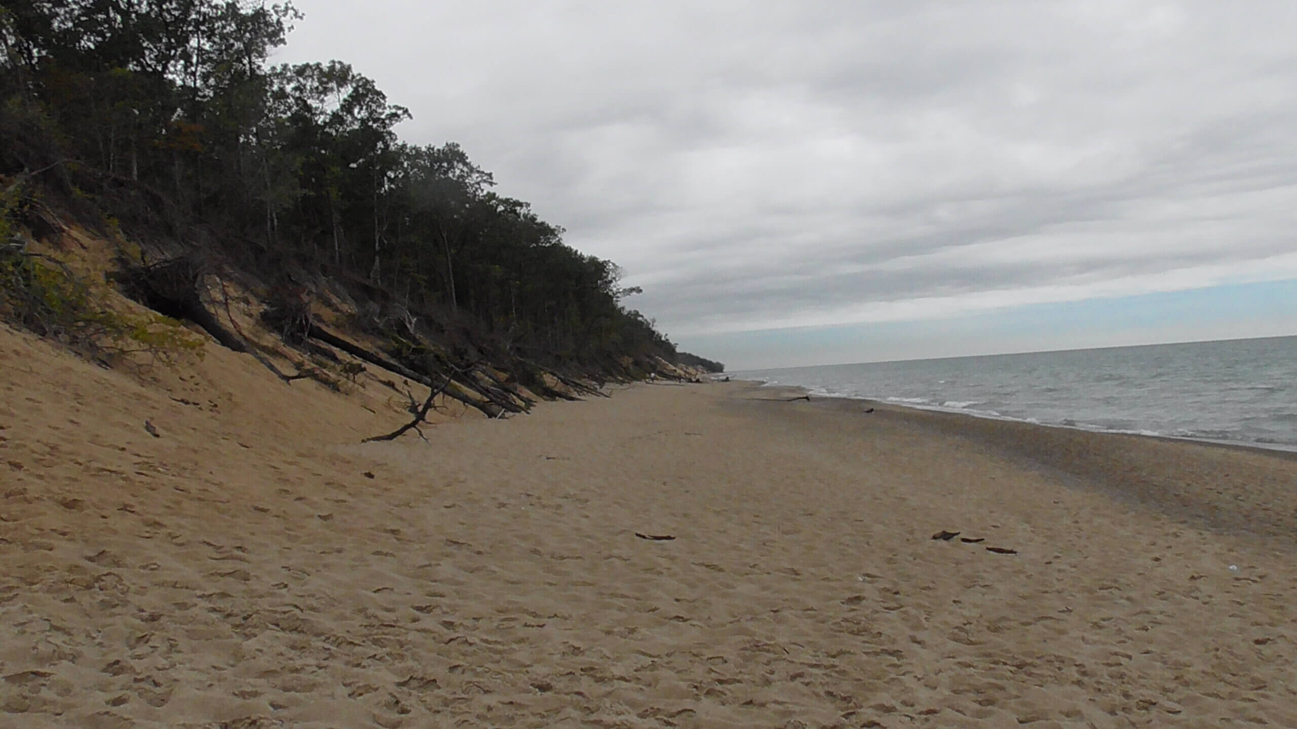 Beach Erosion near Mt. Baldy, Lake Michigan, Indiana Dunes National Park