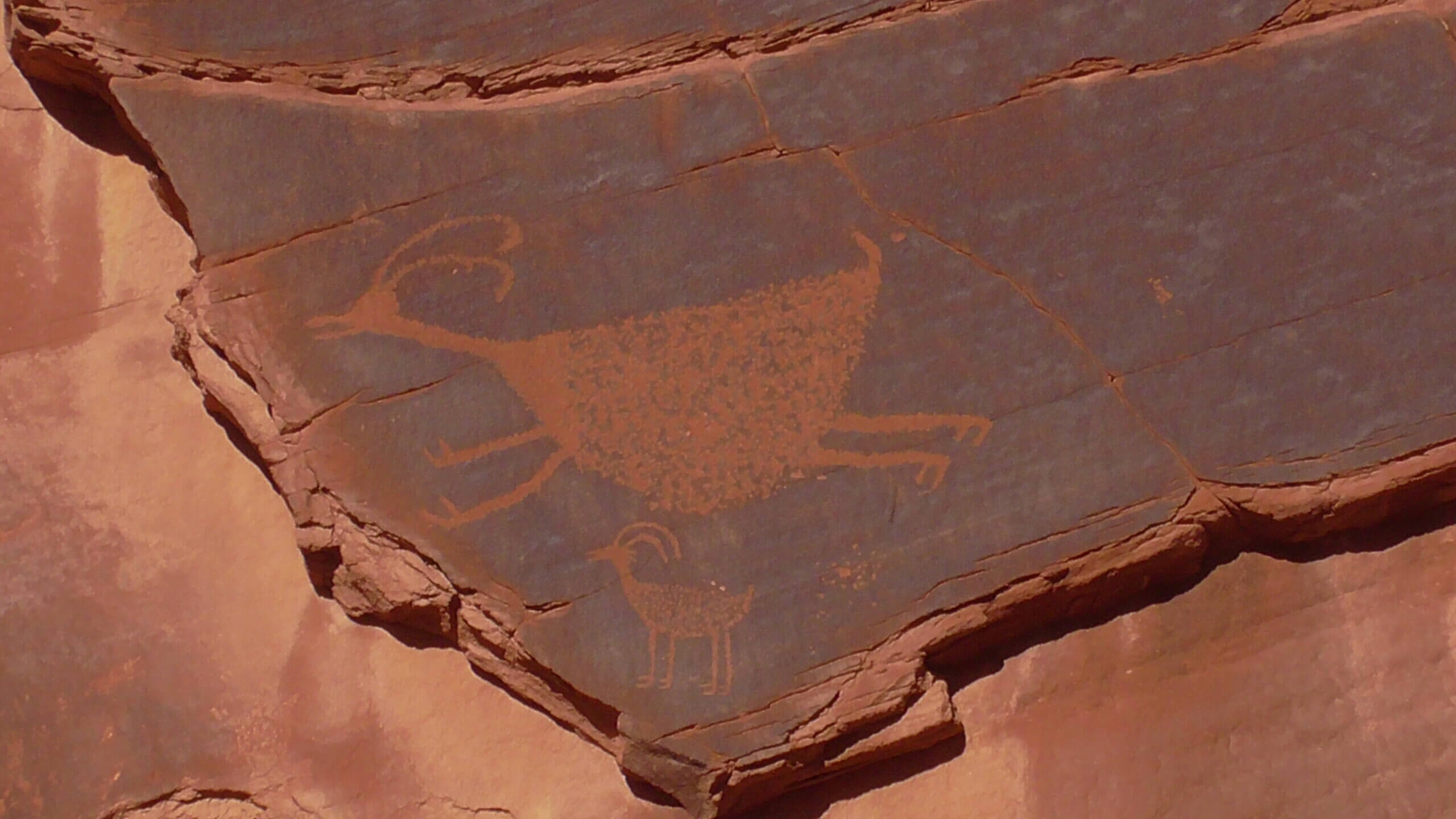 Petroglypyh at Sun's Eye
