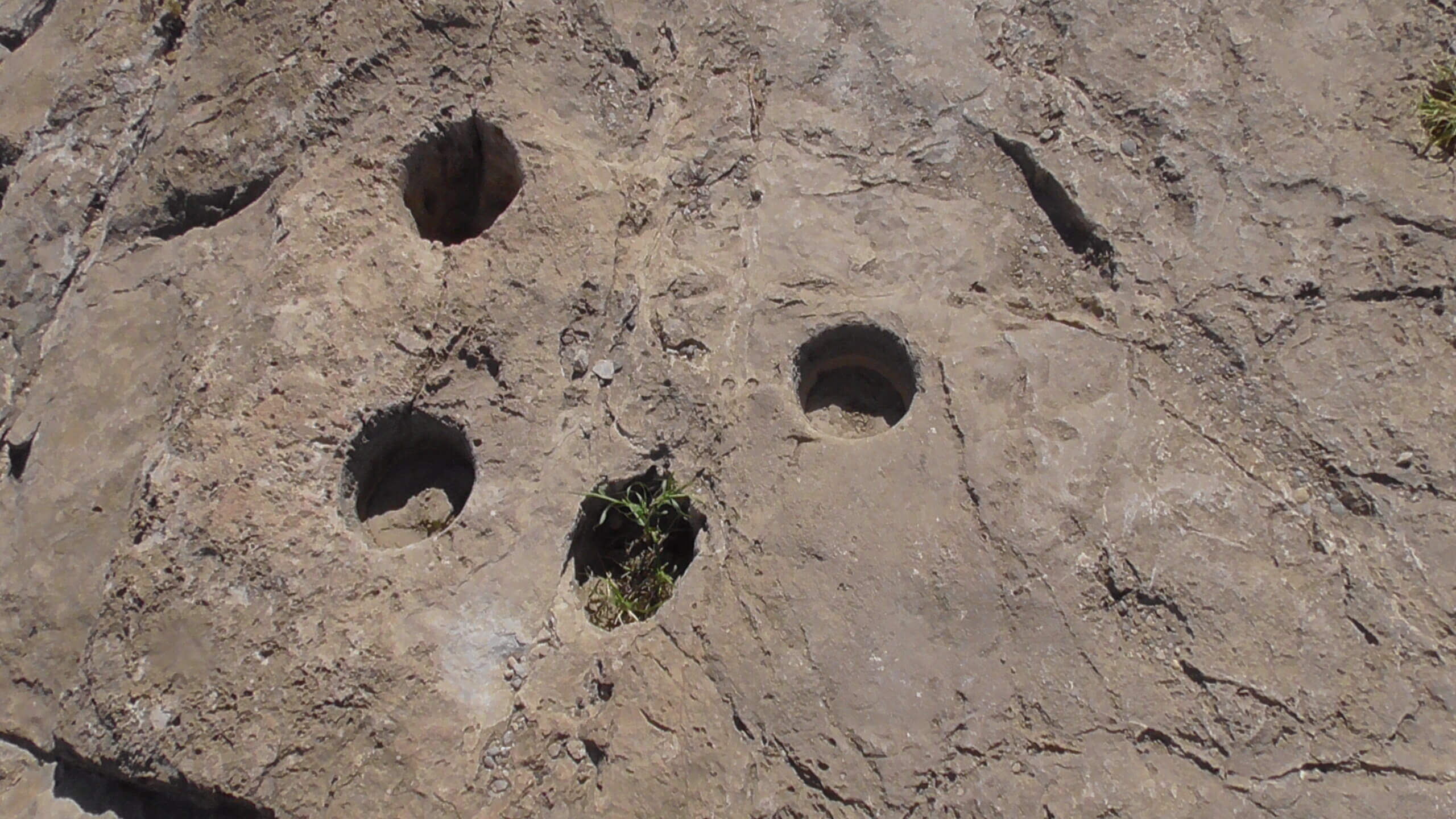 Holes used by Ancient Indians to grind Mesquite Seeds