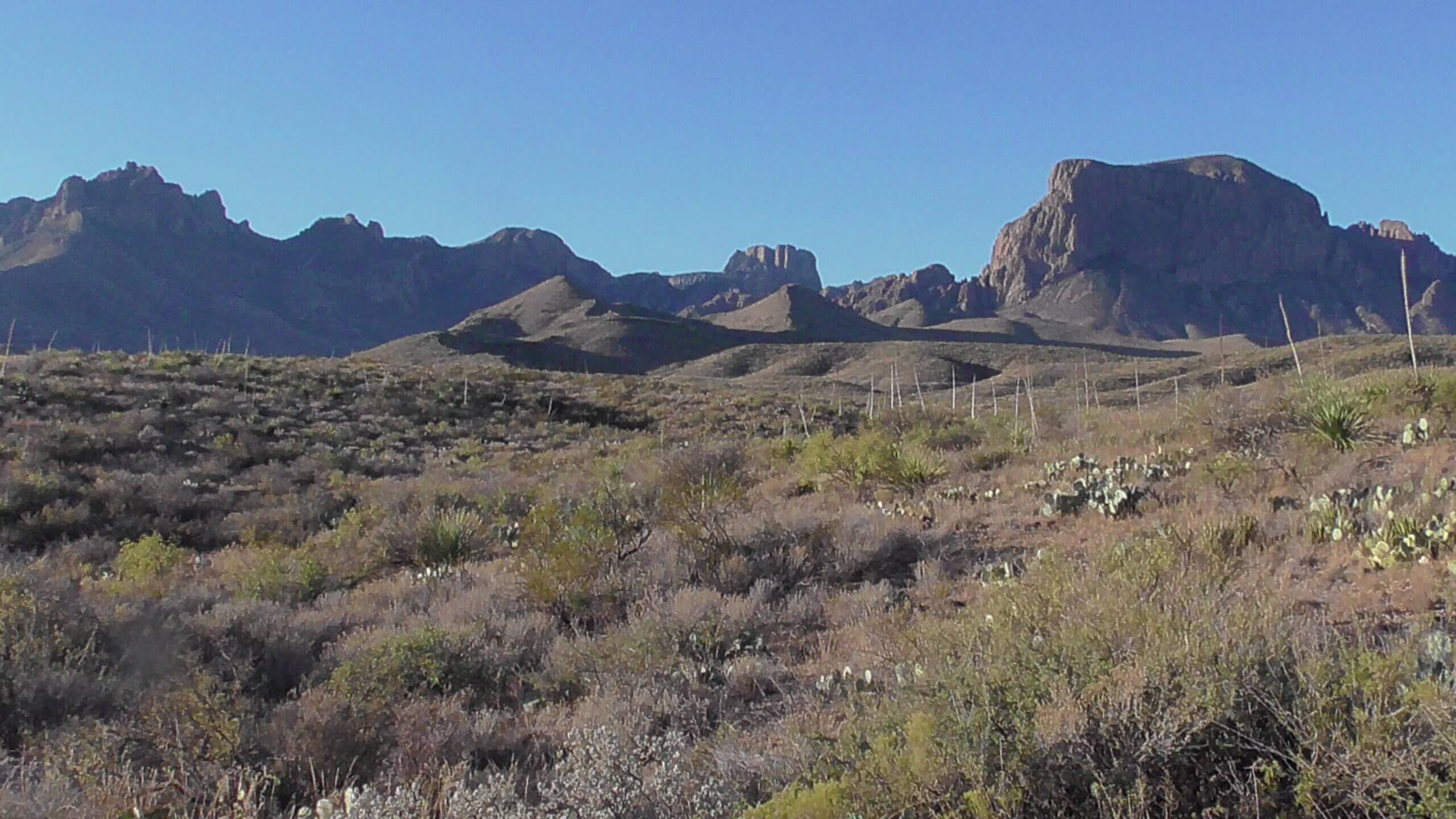 Chisos Mountains from the West