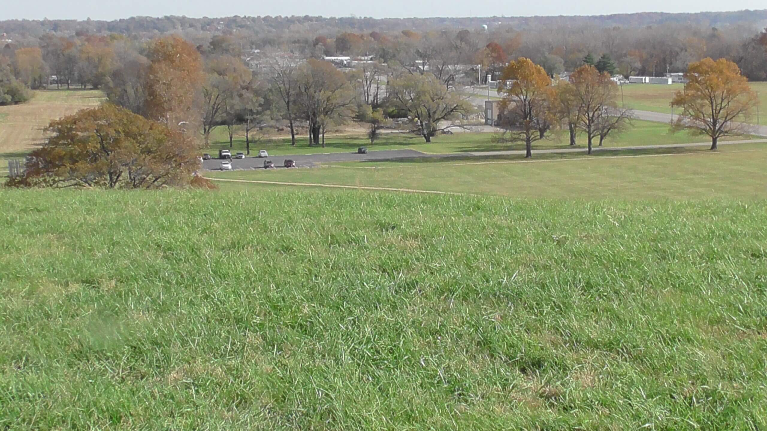 Looking East from Monk's Mound
