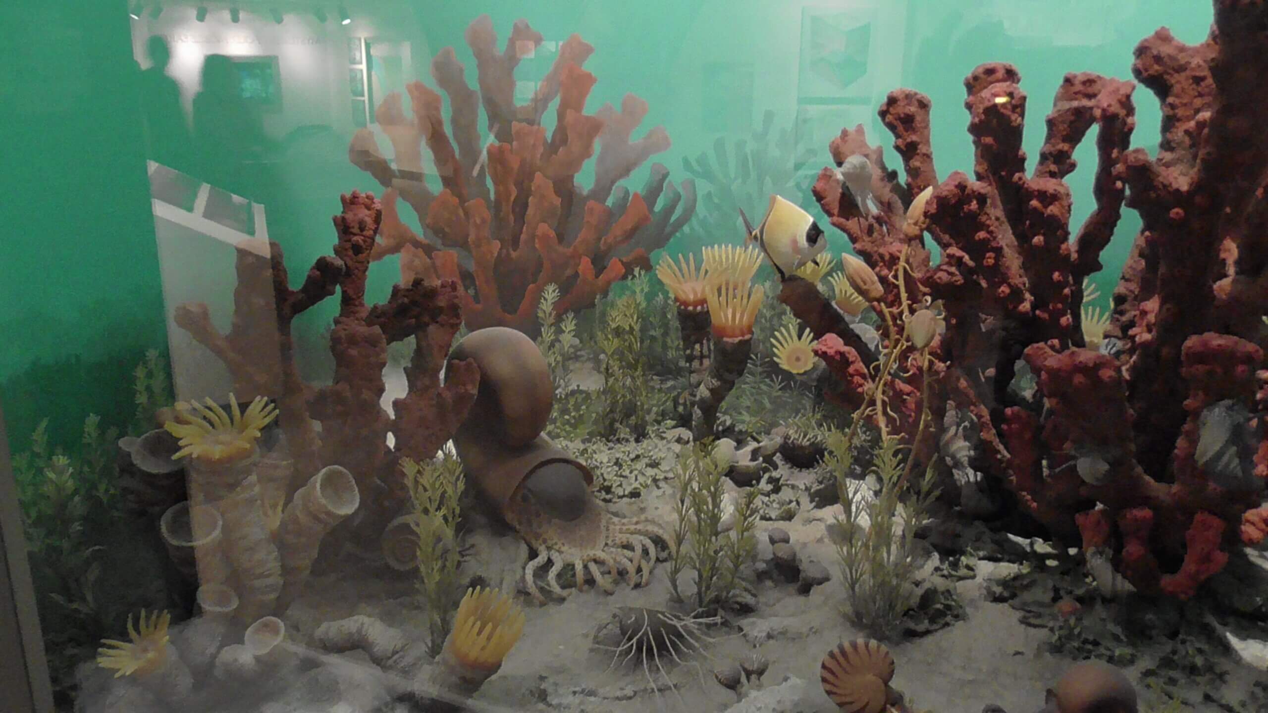 Permian Reef