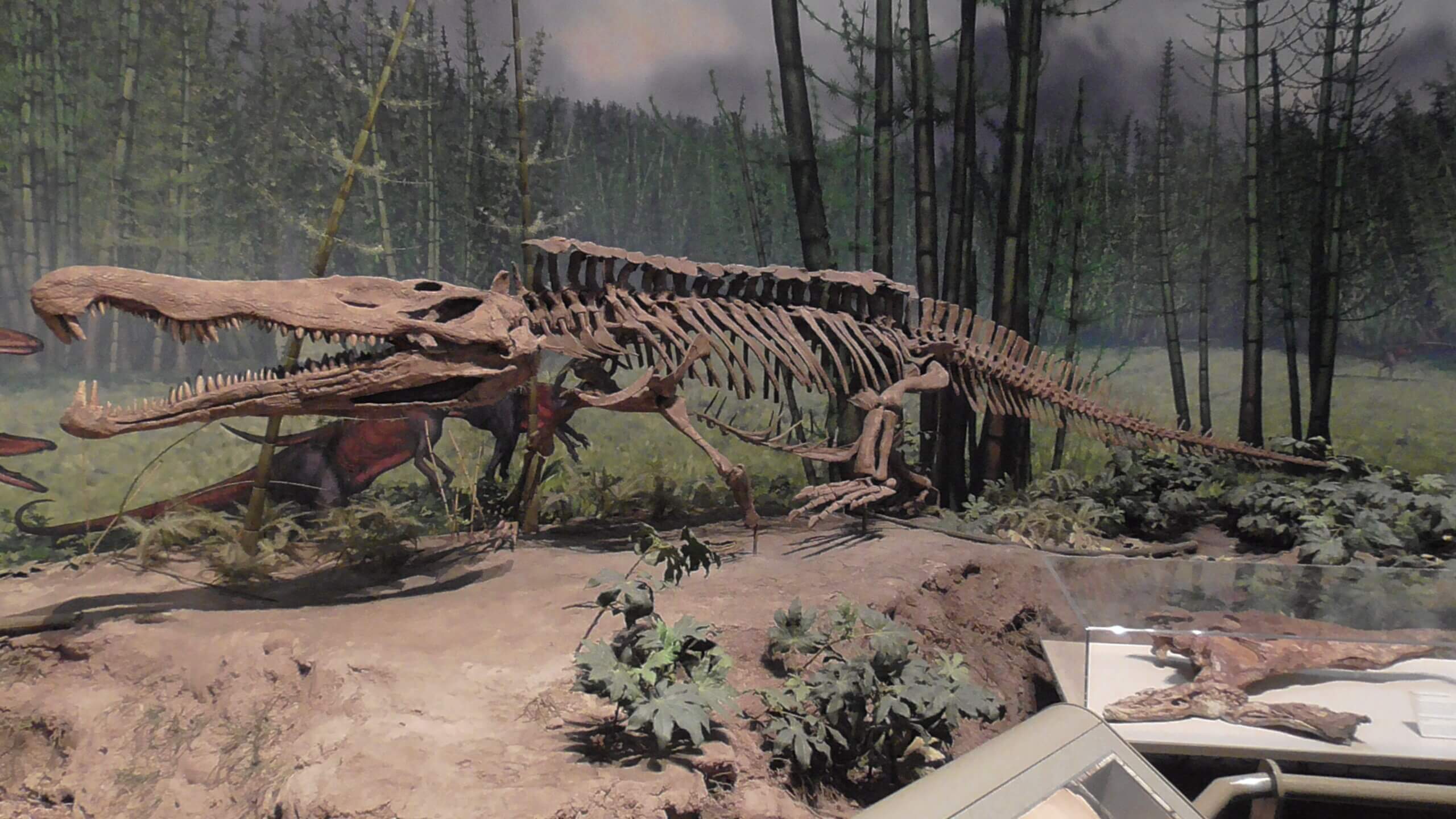 Redondasaurus - a 21 foot phytosaur that ate small dinosaurs