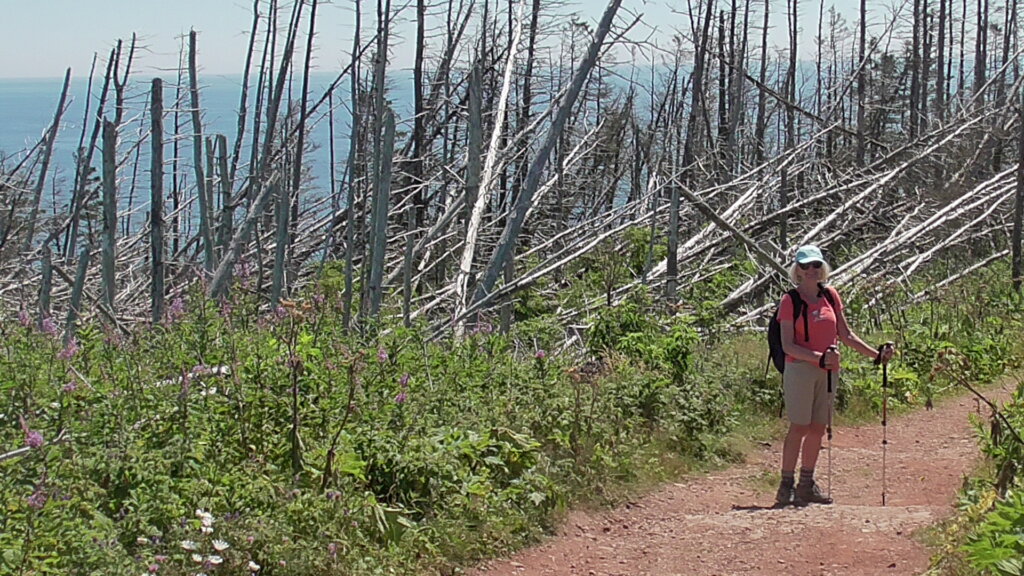 Hiking to Bird Colony